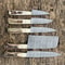Custom Handmade Damascus Steel Chef Knife Set Stag Handle Premium Quality 2