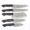 Handmade Damascus Steel 5Piece Chef Knife Set Outdoor Kitchen Knives With Rosewood Horn Bolsters 0