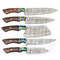 Handmade Damascus Steel 5Piece Chef Knife Set Outdoor Kitchen Knives With Rosewood Resin Bolsters 0
