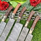 Lot Of 5 Custom Handmade Damascus Steel Blade Full Tang Kitchen Chef Knife Set 1