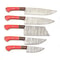 Handmade Damascus Steel Outdoor Kitchen 5 Chef Knives Set Pakka Wood Bull Horn Handle With Leathe 0