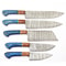 Handmade Damascus Steel Outdoor Kitchen 5 Chef Knives Set Pakka Wood 0