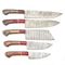 Handmade Damascus Steel Outdoor Kitchen 5 Chef Knives Set With Pakka Wood Bull Horn Handle 0