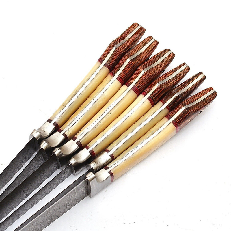 Handmade Damascus Steel Outdoor Kitchen 6 Chef Knives Set With Bone Wood Handle Leather Sheath 1
