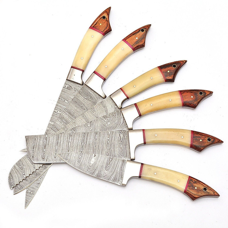 Handmade Damascus Steel Outdoor Kitchen 6 Chef Knives Set With Bone Wood Handle Leather Sheath 2