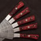 Handmade Damascus Steel Outdoor Kitchen 5 Chef Knives Set With Pakka Wood 2