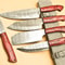 Handmade Hand Forged Damascus Steel BBQ Chef Kitchen Knife Set With Leather Sheath 384 Layers High 0