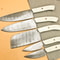 An Amazing Hand Forged Damascus Steel BBQ Chef Kitchen Knife Set 100 Handmade With Leather Sheath 0