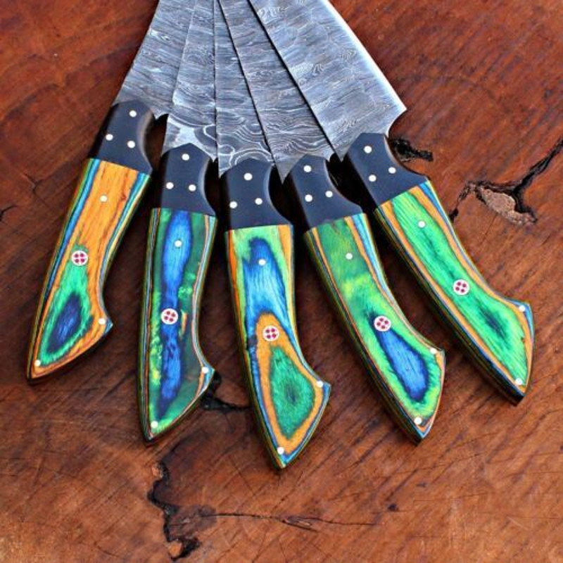 Handmade Damascus Steel Chef Knives Kitchen Set With Leather Bag Full Tang Blades 1
