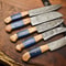 Premium 5Piece Handmade Damascus Steel Chef Knives Full Tang Hammered Blades 0