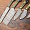 Professional 5Piece Damascus Chef Knives Set Handmade Hammered Steel Blades 3