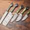 Professional 5Piece Damascus Chef Knives Set Handmade Hammered Steel Blades 0
