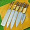 Timeless Damascus Steel Chef Knife Collection 5Piece Handmade Cutlery 0