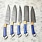 Handmade Damascus Steel Chef Knives Set 5 Premium Forged Blades 1