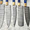 Handmade Damascus Steel Chef Knives Set 5 Premium Forged Blades 3
