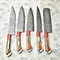 Luxury Handmade Damascus Steel Chef Knives 5Piece Set 1
