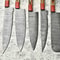 Luxury Handmade Damascus Steel Chef Knives 5Piece Set 3