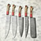 Luxury Handmade Damascus Steel Chef Knives 5Piece Set 0