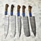 Unique 5Piece Damascus Steel Kitchen Knife Set Custom Wood Handle Design 0