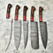 Artisan Handmade Damascus Chef Knives 5Piece Wood Handle Kitchen Set 0
