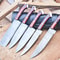 Heritage Series Handmade Damascus Steel Knives 5Piece Chef Set With Sheath 0