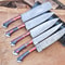 Heritage Series Handmade Damascus Steel Knives 5Piece Chef Set With Sheath 3