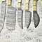 Premium Damascus Steel Knife Set 6Piece Artisan Full Tang Hardwood Collection 3
