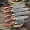 Custom Made 5Piece Twist Damascus Chef Knives Forged Full Tang Hardwood 2