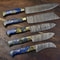 5pcs Professional Damascus Steel Kitchen Knife Set Custom Handmade Cutlery 1
