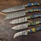 5pcs Professional Damascus Steel Kitchen Knife Set Custom Handmade Cutlery 0