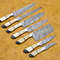 Handmade Damascus Steel 7pcs Professional Chef Knife Set With Leather Bag Kitchen Culinary Knives 2