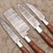 Artisan Handmade Damascus Steel Knife Set Professional Wood Handle Blades 1