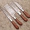 Artisan Handmade Damascus Steel Knife Set Professional Wood Handle Blades 0
