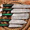 Custom Handmade Hand Forged Damascus Steel Chef Knife Set Black Green Paka Wood Handles Professi 1