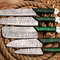 Custom Handmade Hand Forged Damascus Steel Chef Knife Set Black Green Paka Wood Handles Professi 3