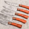 5 Pcs Custom Handmade Damascus Steel Chef Knife Set Wood Handle Professional Kitchen Knives 4