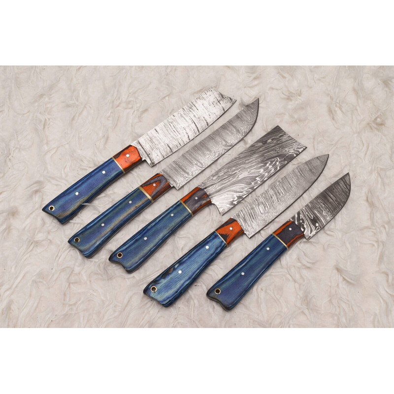 Damascus Steel 5 Pcs Chef Knife Set Handmade Wood Handle Kitchen Knives 1