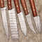 Custom Handmade 5 Pcs Damascus Steel Knife Set Durable Chef Knives 2