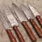 Authentic Handmade Damascus Steel Chef Knives 5 Pc Professional Set 1