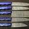 Professional Handmade Damascus Kitchen Knife Set 5Pc With Wooden Handles 0