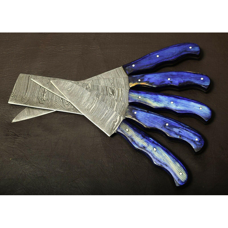 Professional Handmade Damascus Kitchen Knife Set 5Pc With Wooden Handles 2
