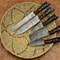 Custom Handmade Damascus Steel 5Pc Knife Set Forged Chef Knives With Leather Case 3