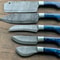 Handmade Damascus Steel 5Piece Chef Knife Set Custom Forged Kitchen Knives 2