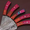 5Piece Handmade Damascus Steel Kitchen Knife Set Forged Chef Knives With Leather Sheath 1