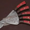 Professional Custom Damascus Steel Chef Knife Set 5Pc Handmade Kitchen Knives Wood Handle 1