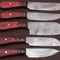 Damascus Steel Kitchen Cutlery Set 5Pc Handmade Chef Knives With Sheath 2