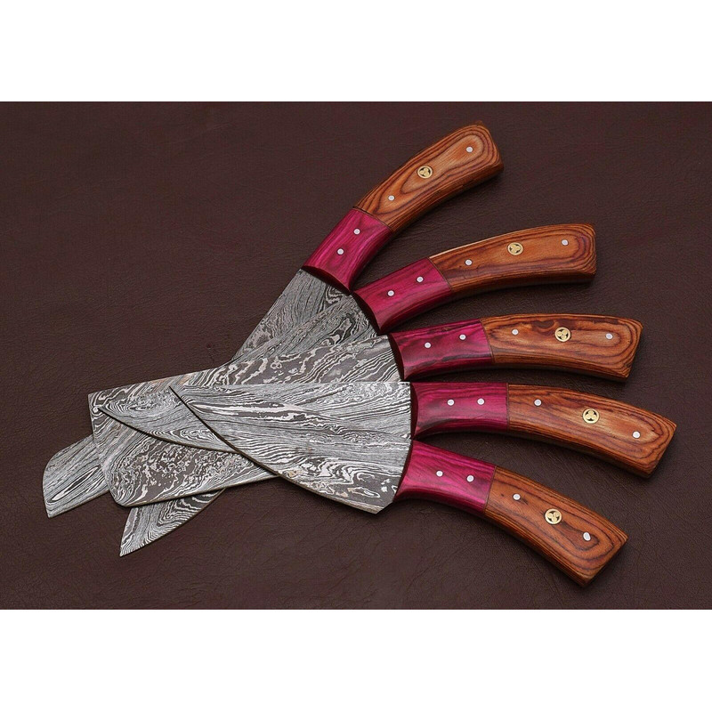 Forged Damascus Steel Kitchen Knife Set Professional 5 Piece Chef Set 1
