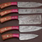 Forged Damascus Steel Kitchen Knife Set Professional 5 Piece Chef Set 2