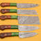 Handmade Damascus Chef Set 5 Pc Knife Lot With Dollar Wood 0