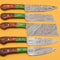 Handmade Damascus Chef Set 5 Pc Knife Lot With Dollar Wood 0